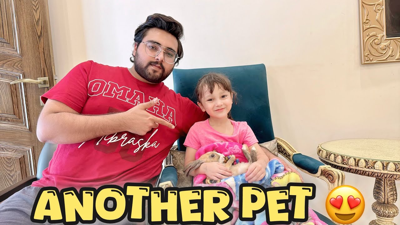 Another pet for my kids on their demand 🐰