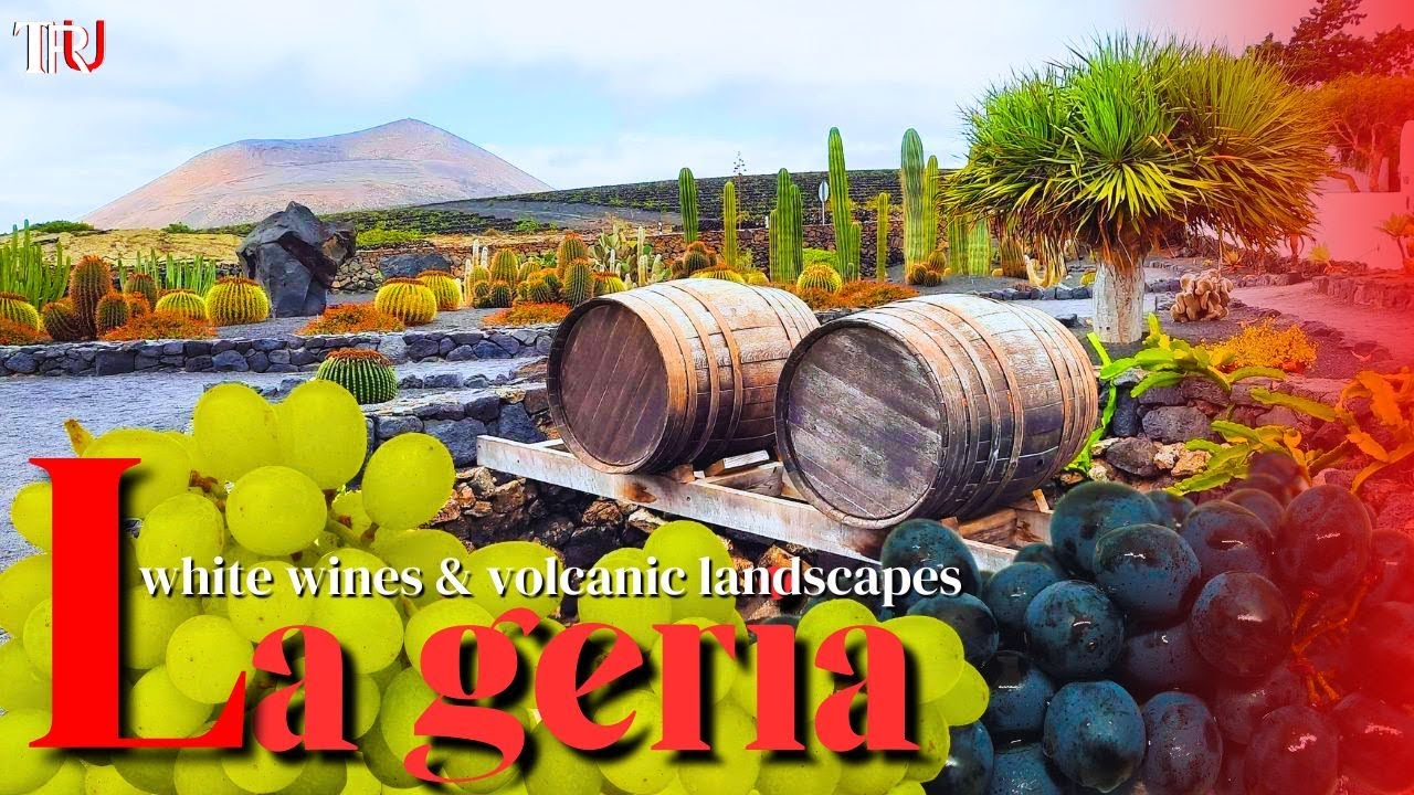 La Geria : best known for its white wines and volcanic landscape