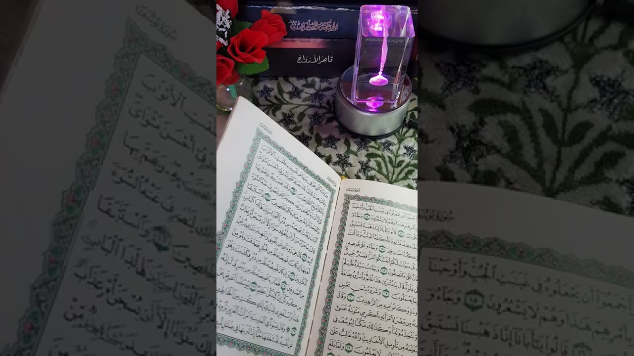 استخارة برج الاسد.لكل أموره.وتحصين ظد السحر والعين. وللهيبه والقبول وما هو الحجره الكريم.تابع للاخير