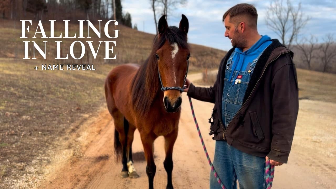 Falling In Love With My Human + We FINALLY Decided! Her Name Is…