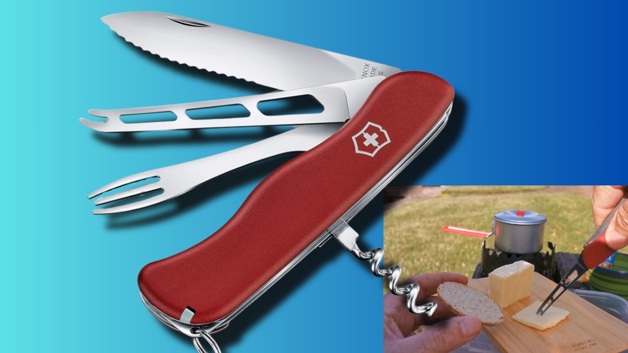 🧀Cheese Lovers Rejoice! This VICTORINOX Knife was Built for You!
