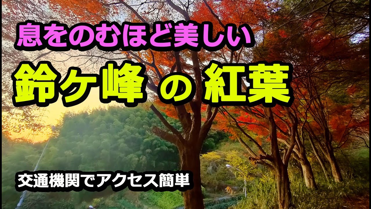 【紅葉登山】広島低山代表【鈴ヶ峰】をゆる～く縦走2023.11.26.