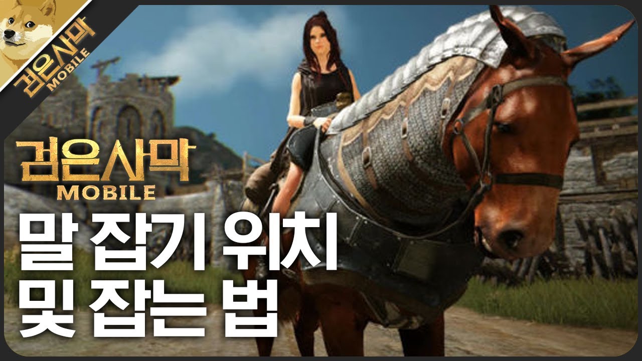 [검은사막M] 말만 잡아도 100펄을 준다! 말잡기 추천위치 + 말잡는법