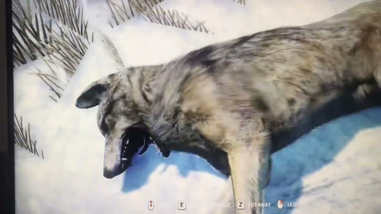 Far Cry 4 Hunting and Skinning All Animals (Valley of the Yetis DLC)