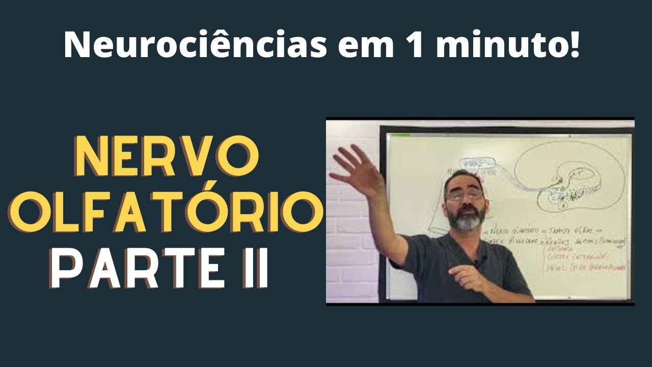 PROCESSAMENTO CENTRAL DO OLFATO!