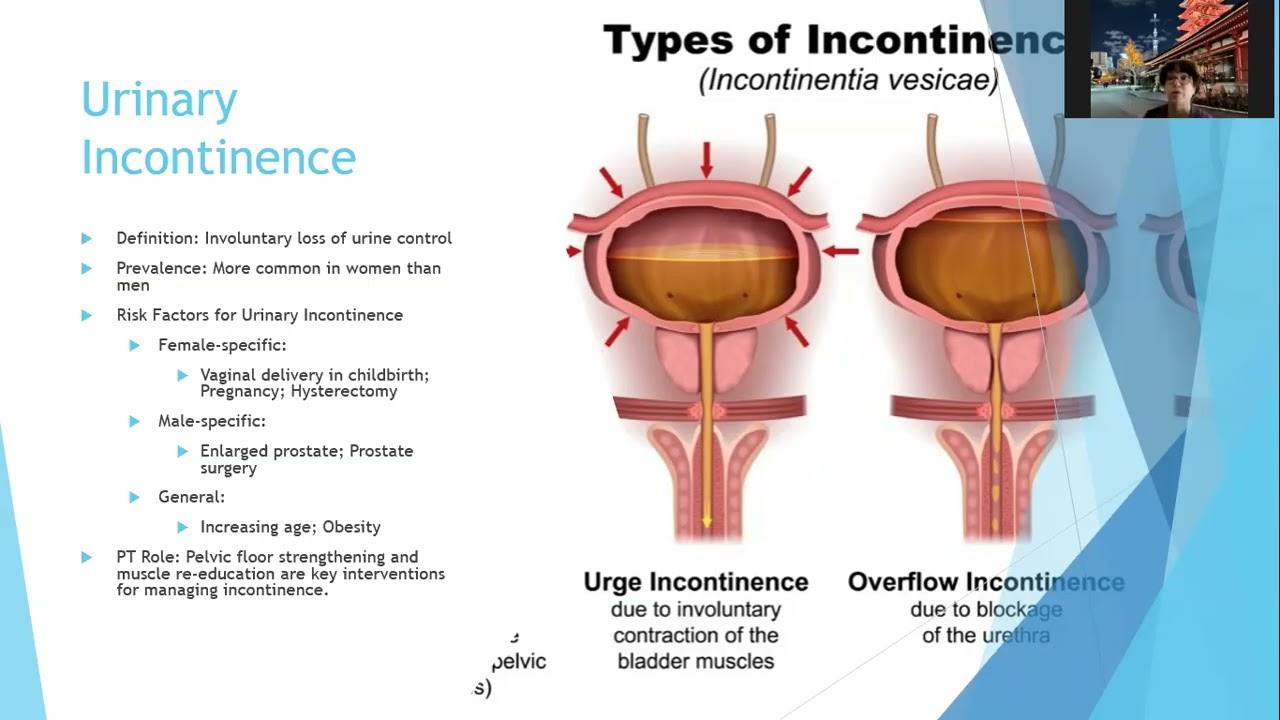 Chapter 18 Renal and Urinary Systems