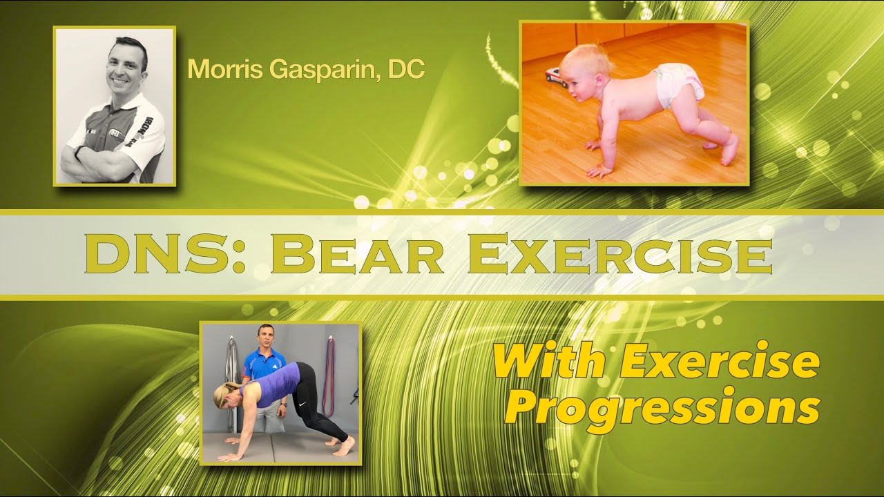 DNS: Bear
