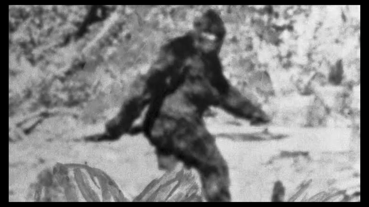 Rating Bigfoot Conspiracy Theories