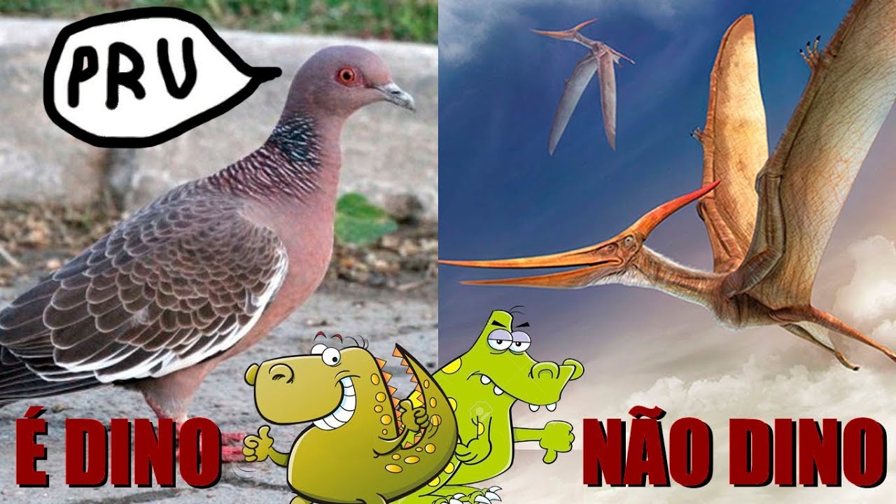 Por que aves são dinossauros e pterossauros não são? (#Pirula 261)