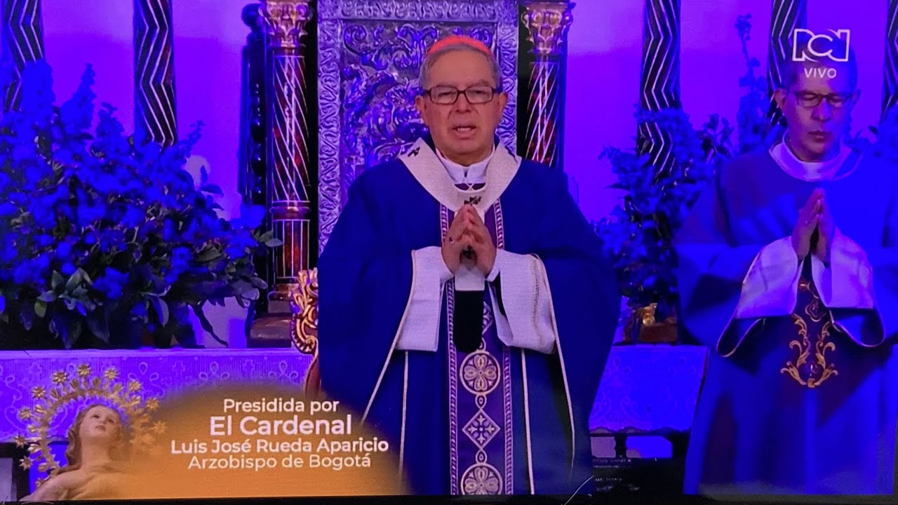 Homilía  17 min Cardenal Luis José Rueda Aparicio #homilia #homiliadiaria ##homiliadominical 