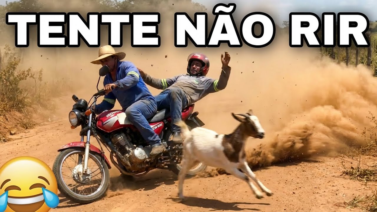 TENTE NÃO RIR NÍVEL HARDCORE: VÍDEOS ENGRAÇADOS 2026 E MEMES #53😂😱