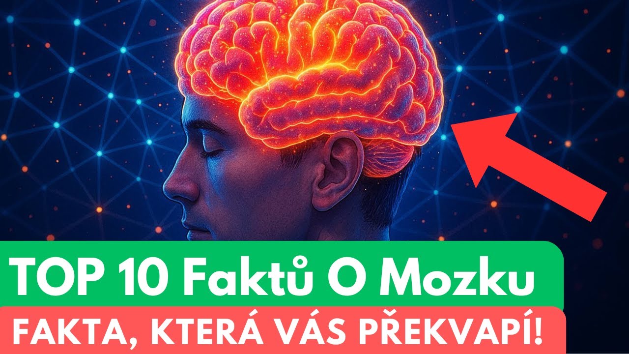 TOP 10 &Scaron;&iacute;len&yacute;ch Faktů o Lidsk&eacute;m Mozku, kter&eacute; v&aacute;s překvap&iacute;!