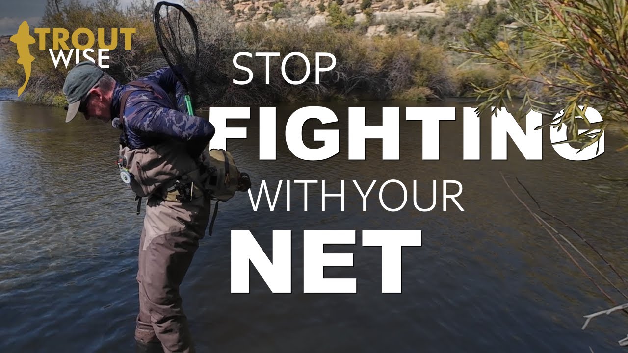 Stop Fighting with your Net