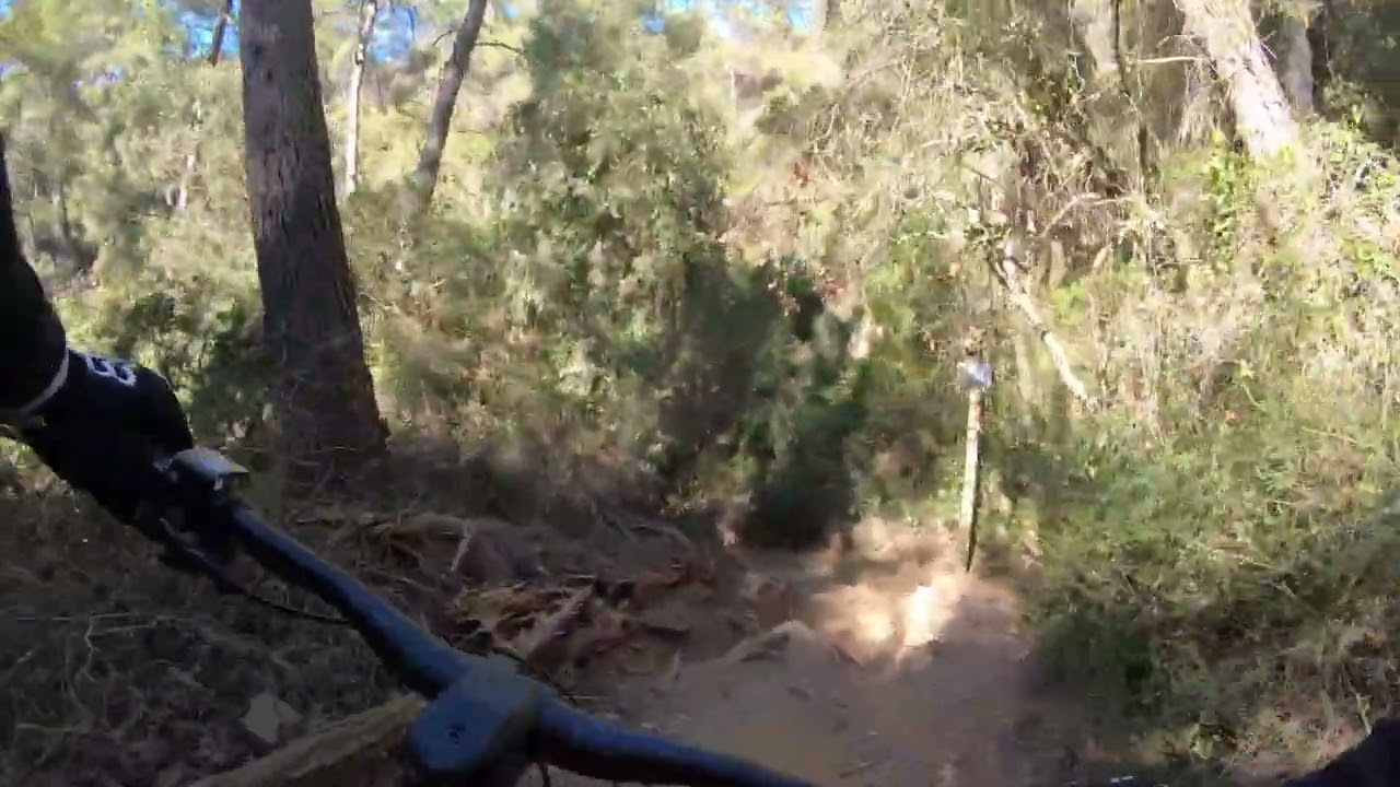 Collserola Rotwild RE750