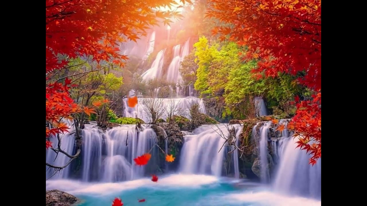 Relaxing for you sleep in 5minutes🥰🌳💯