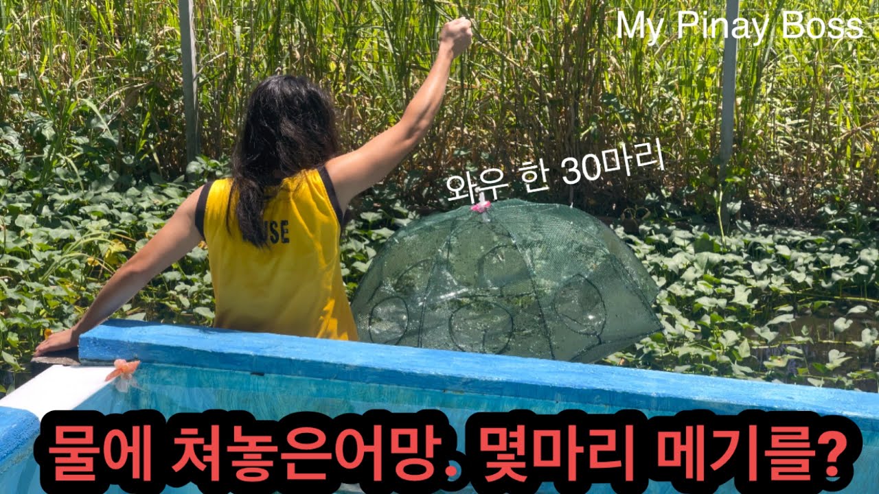 Ух ты! Их там, наверное, штук 30.