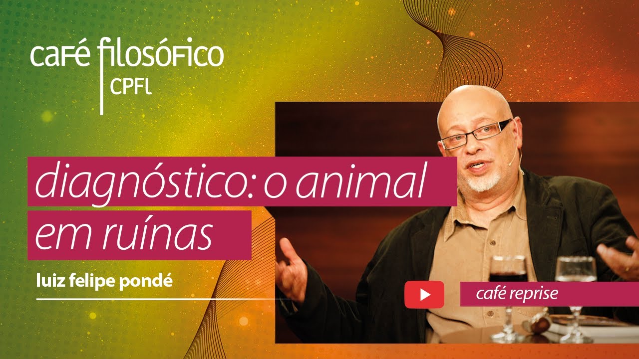 reexibição: diagnóstico o animal em ruínas, com luiz felipe pondé