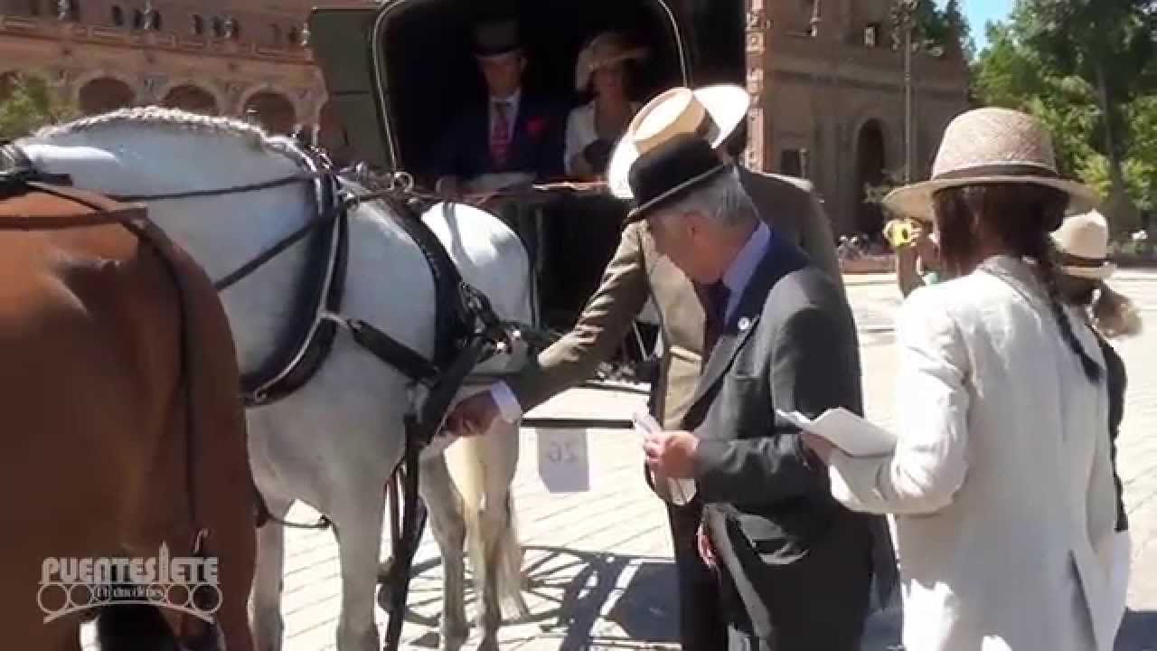 Concurso Internacional de Enganches 