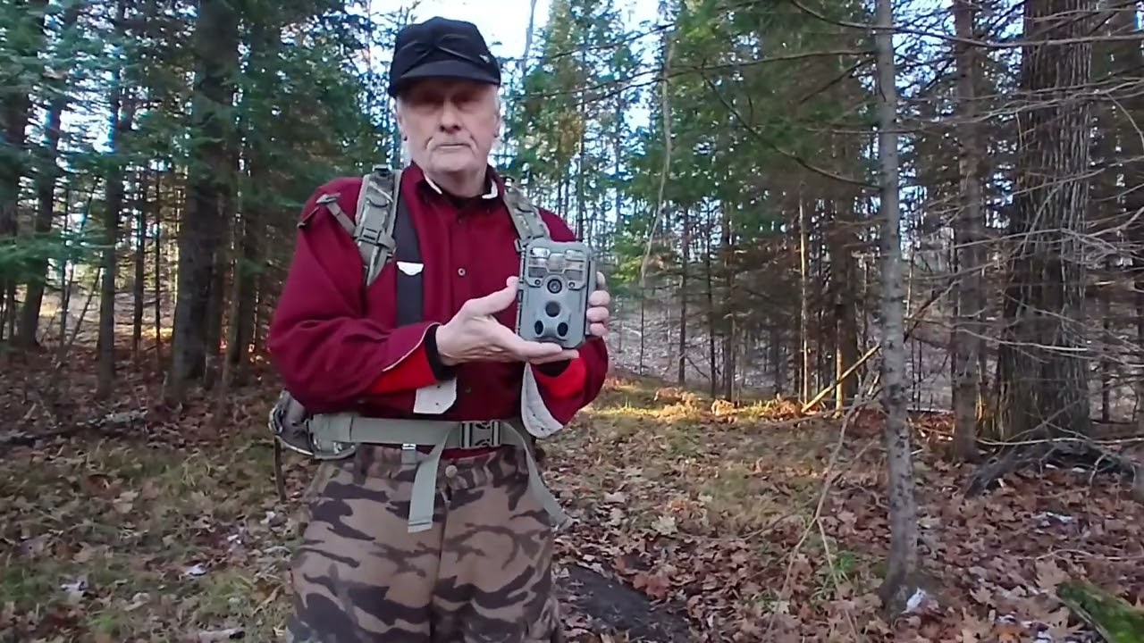Распродажа камер Gardepro в Черную пятницу....Buckman