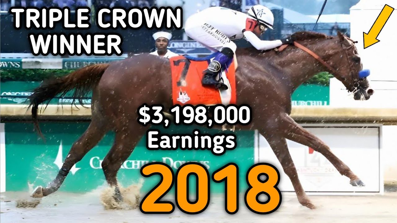 Justify: Triple Crown Winner 2018 | Full Story #justify #TripleCrown #ApolloCurse #KentuckyDerby