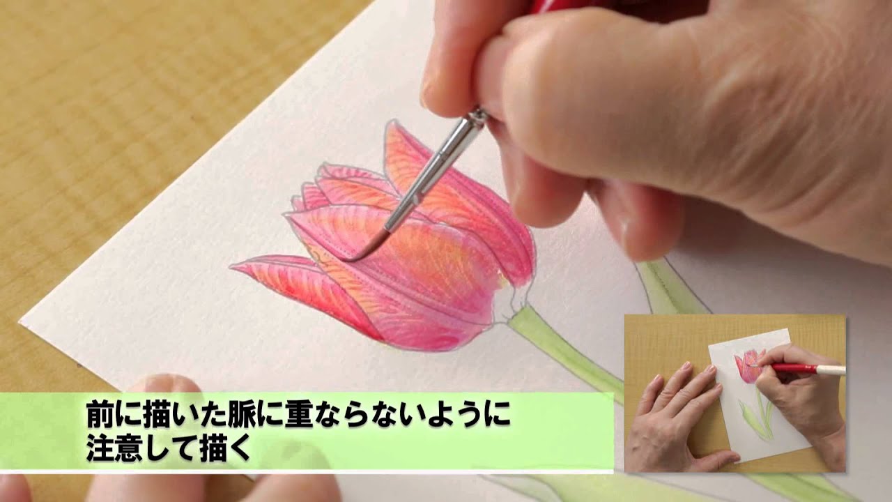 DVD付き技法書『植物画・はじめての彩色レッスン』ダイジェスト映像
