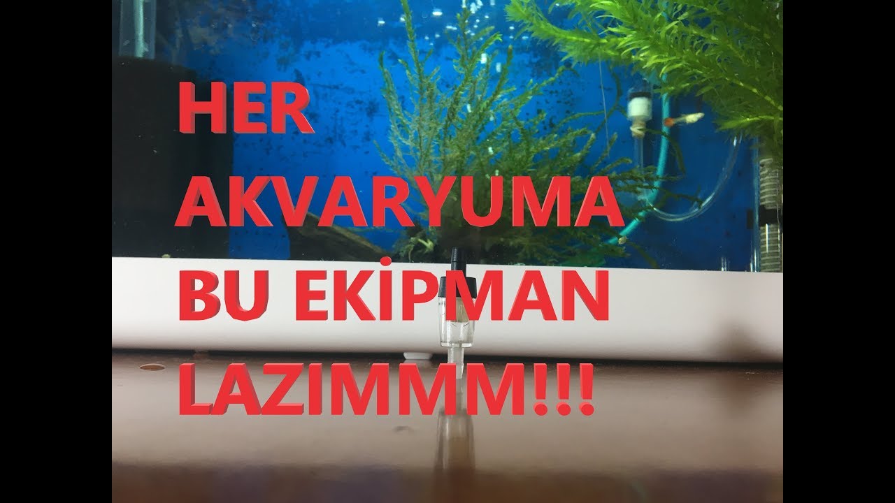Akvaryumda Hayat Kurtaran Ekipman | Çek Valf | Check Valf