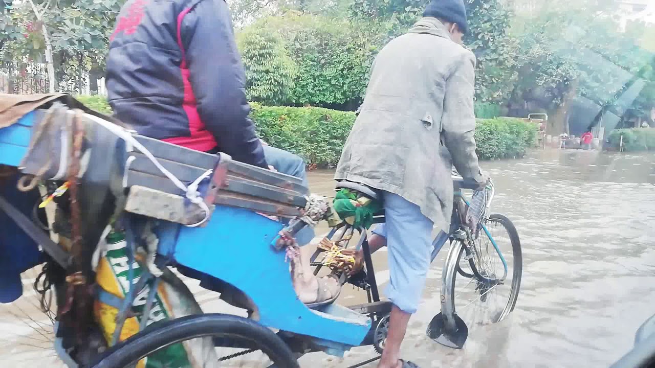 Winter Rain, delhi january 2019
