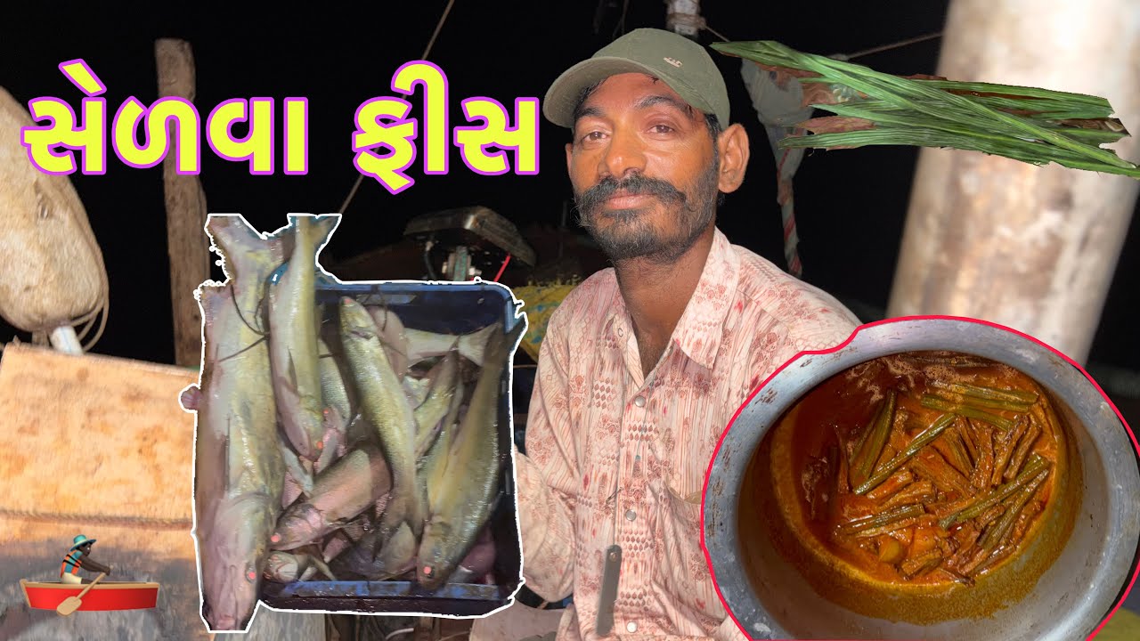 નવા જાળમાં કેટલા સેળવા આવ્યા.?🐋અને મસબામા જમવાનું બનાવ્યું 🍲