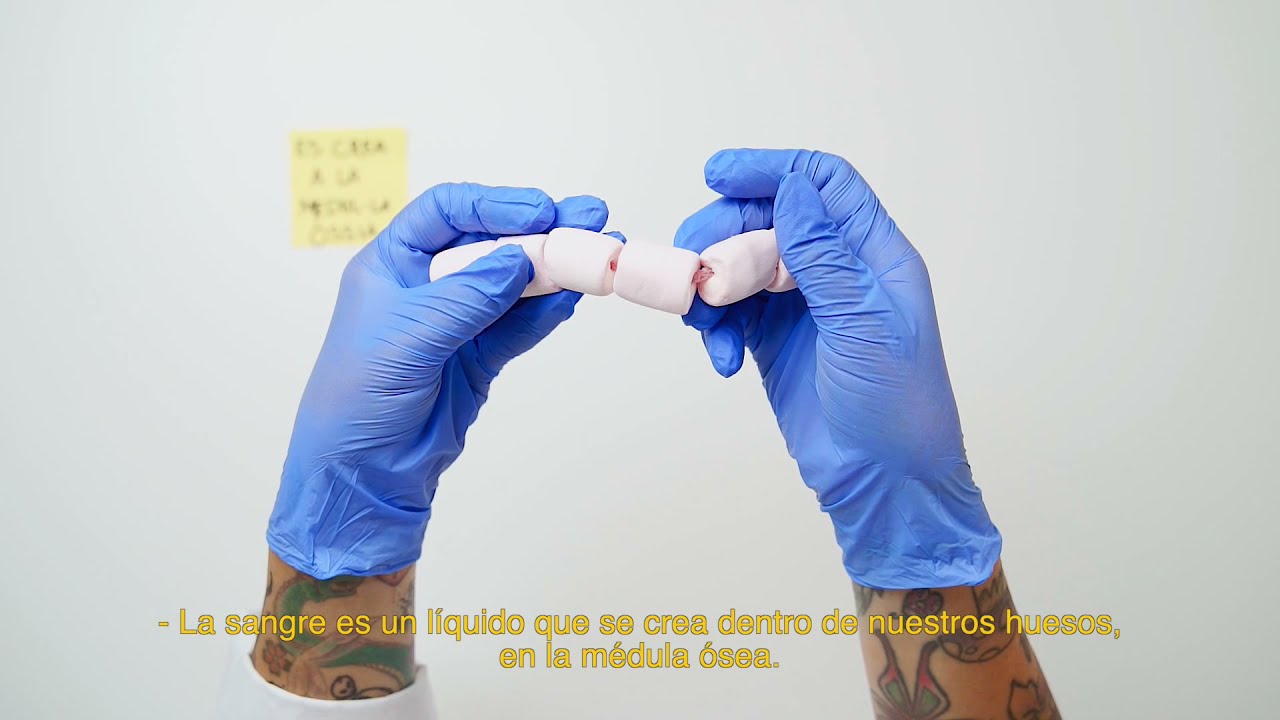 Julia del  Banco de Sangre y Tejidos | Subtitulado Español
