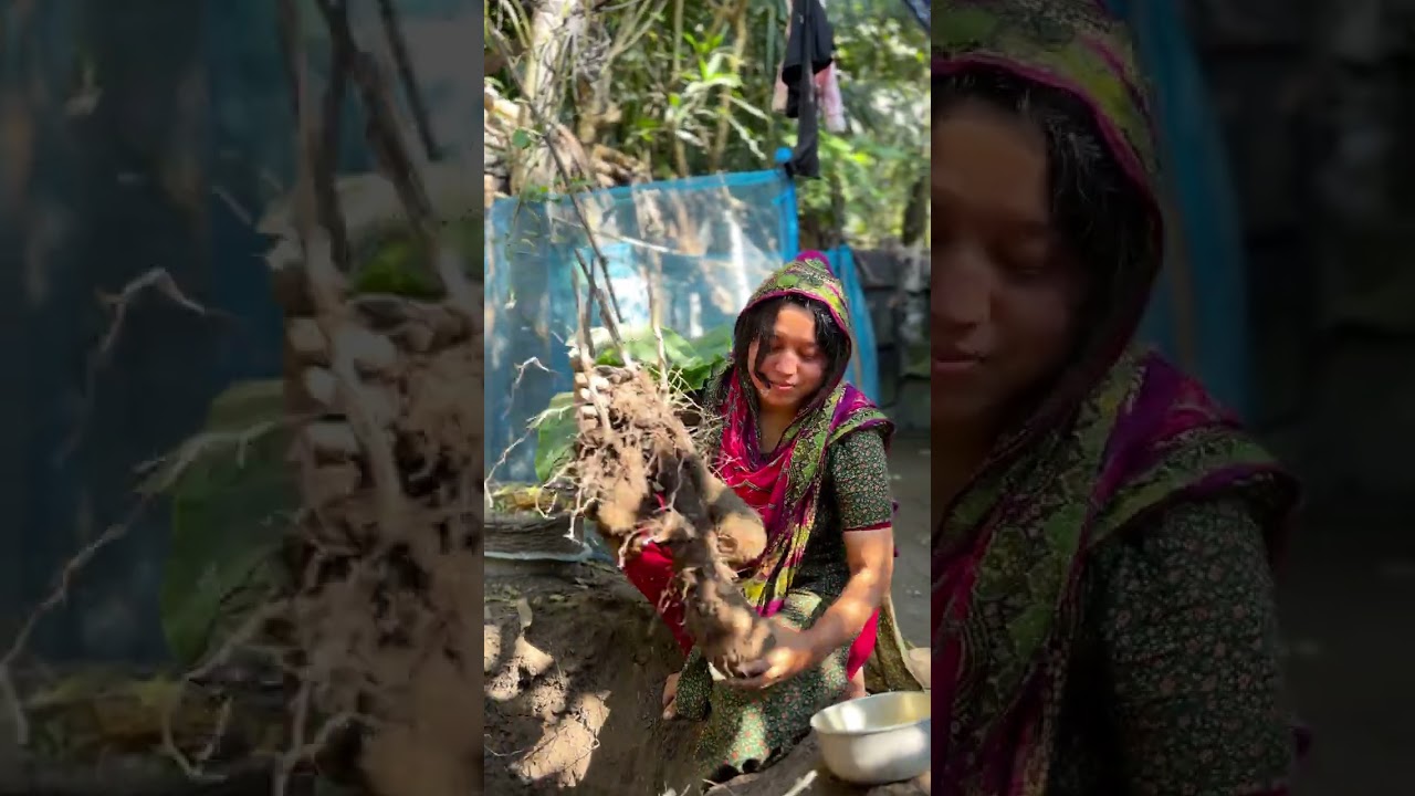 মাটির নিচ থেকে মাইড্ডা আলু উঠাইছি😊 #foryou #minivlog #highlights 