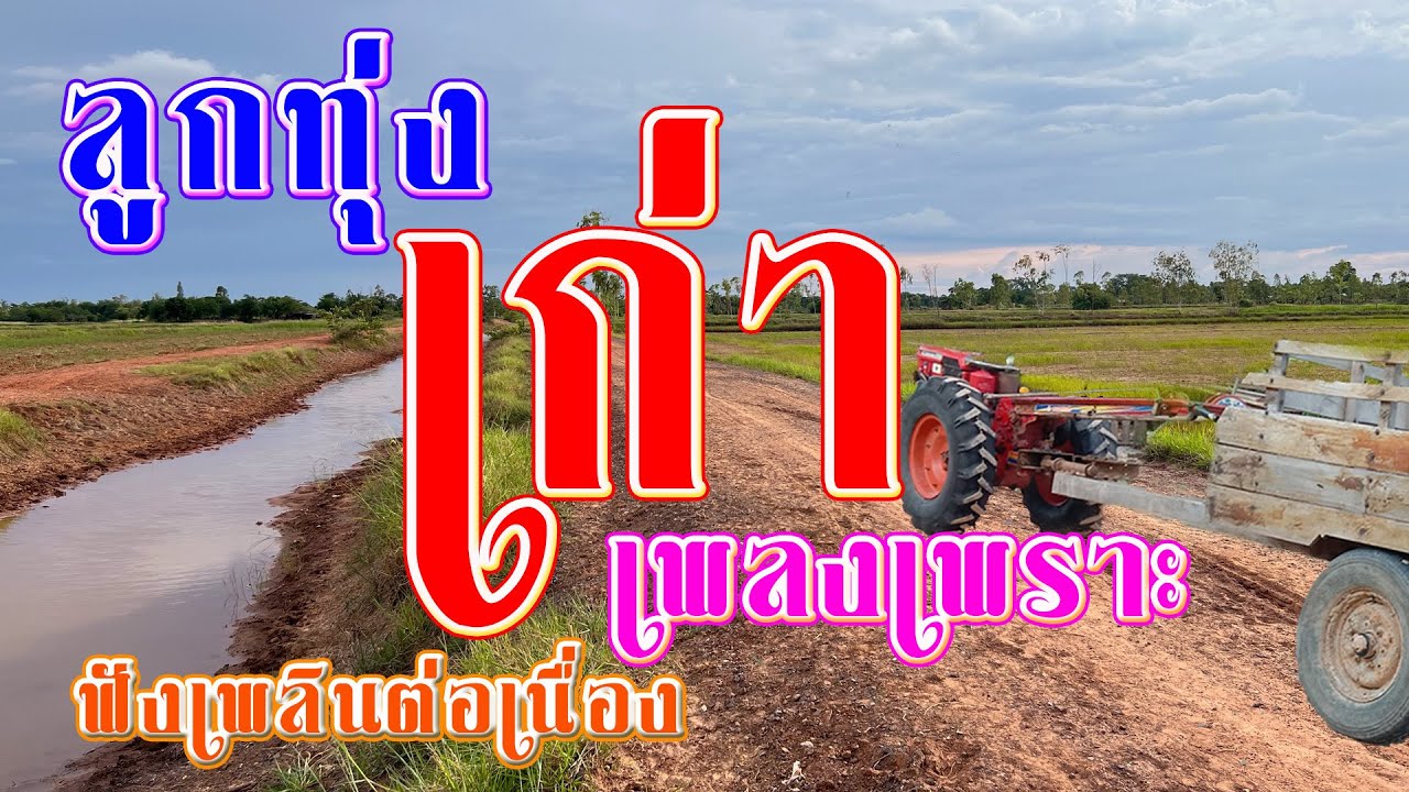 รวมเพลงลูกทุ่งเก่าฟังเพราะต่อเนื่อง