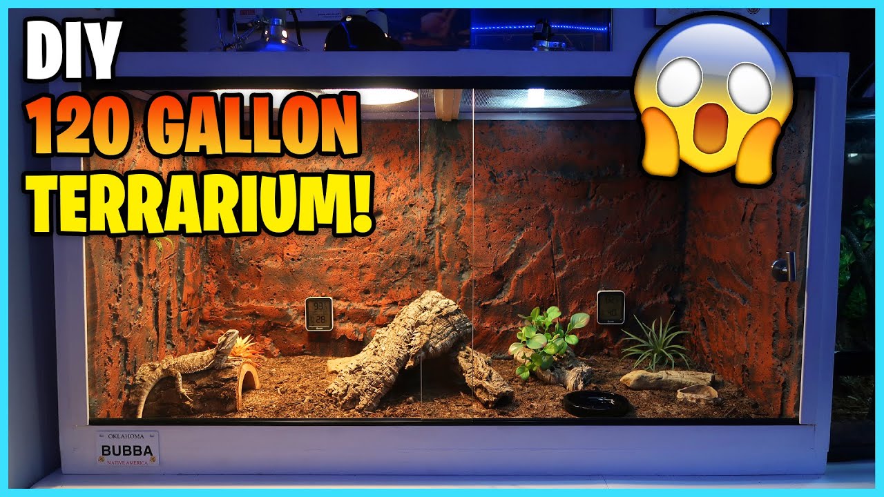 DIY REPTILE TERRARIUM! | 120 gallons! Bearded Dragon Setup