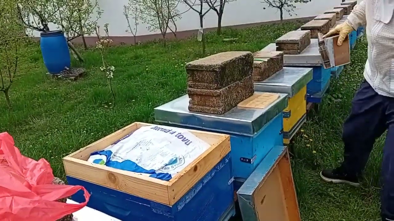 BLETA.KOJUSH..2.O4..2025..VENDOSJA E POGAQES..