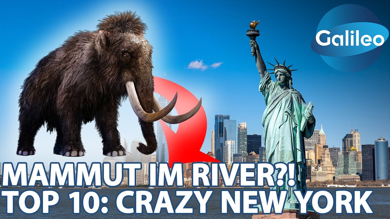 TOP 10: Crazy New York - Mammut-Jäger im Hudson River?! | Galileo
