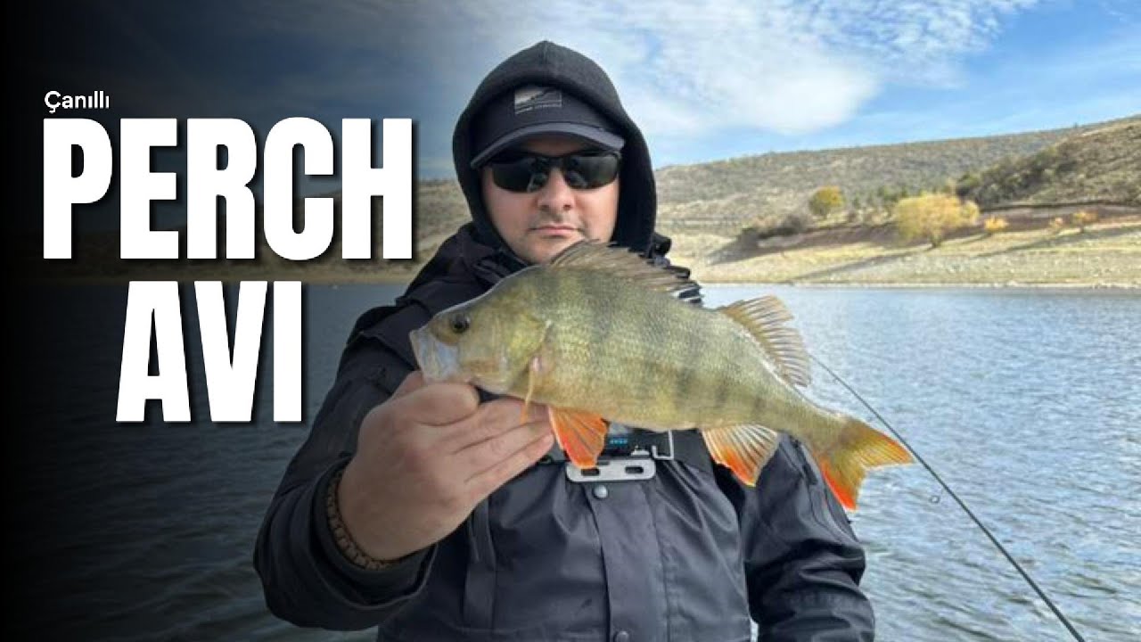 Ankara Çanıllı Balık Avı - Perch Fishing