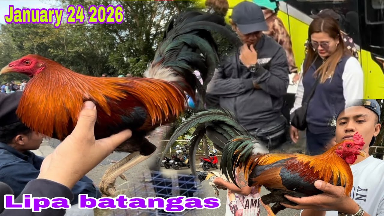 January 24 2026 Bakit kaya Bagsak Presyo ngaun sa Lipa batangas?
