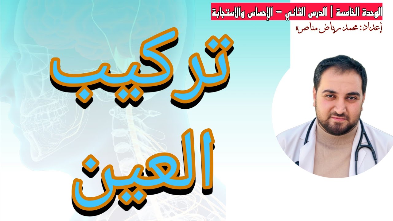 5.2.3 المستقبلات الضوئية (تركيب العين وآلية الإبصار) | الإحساس والاستجابة.