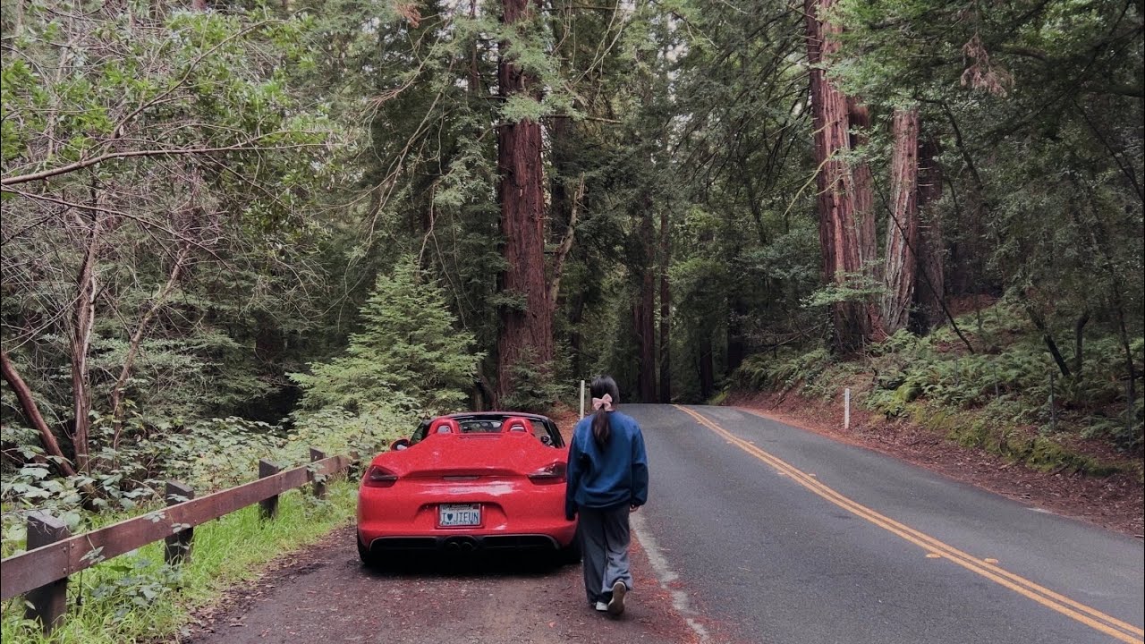 a drive through the redwoods
