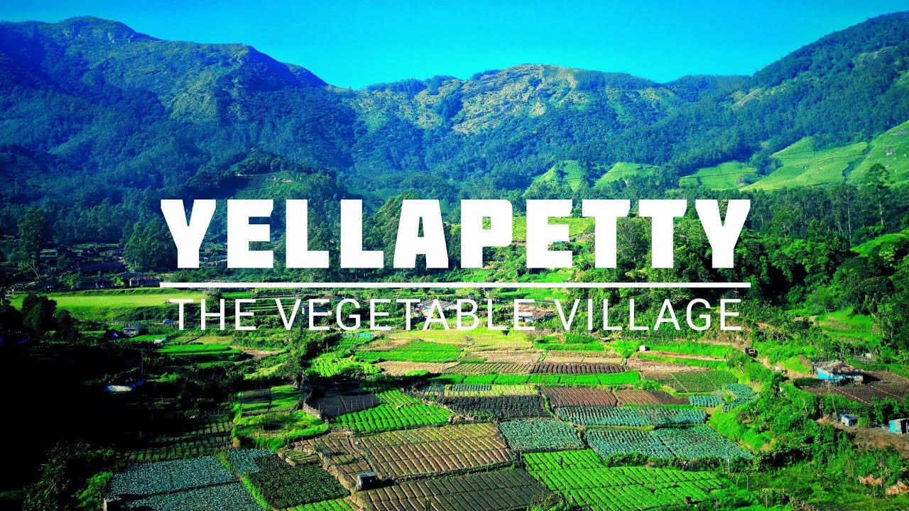 YELLAPETTY - The Vegetable Village | Vattavada | Munnar 