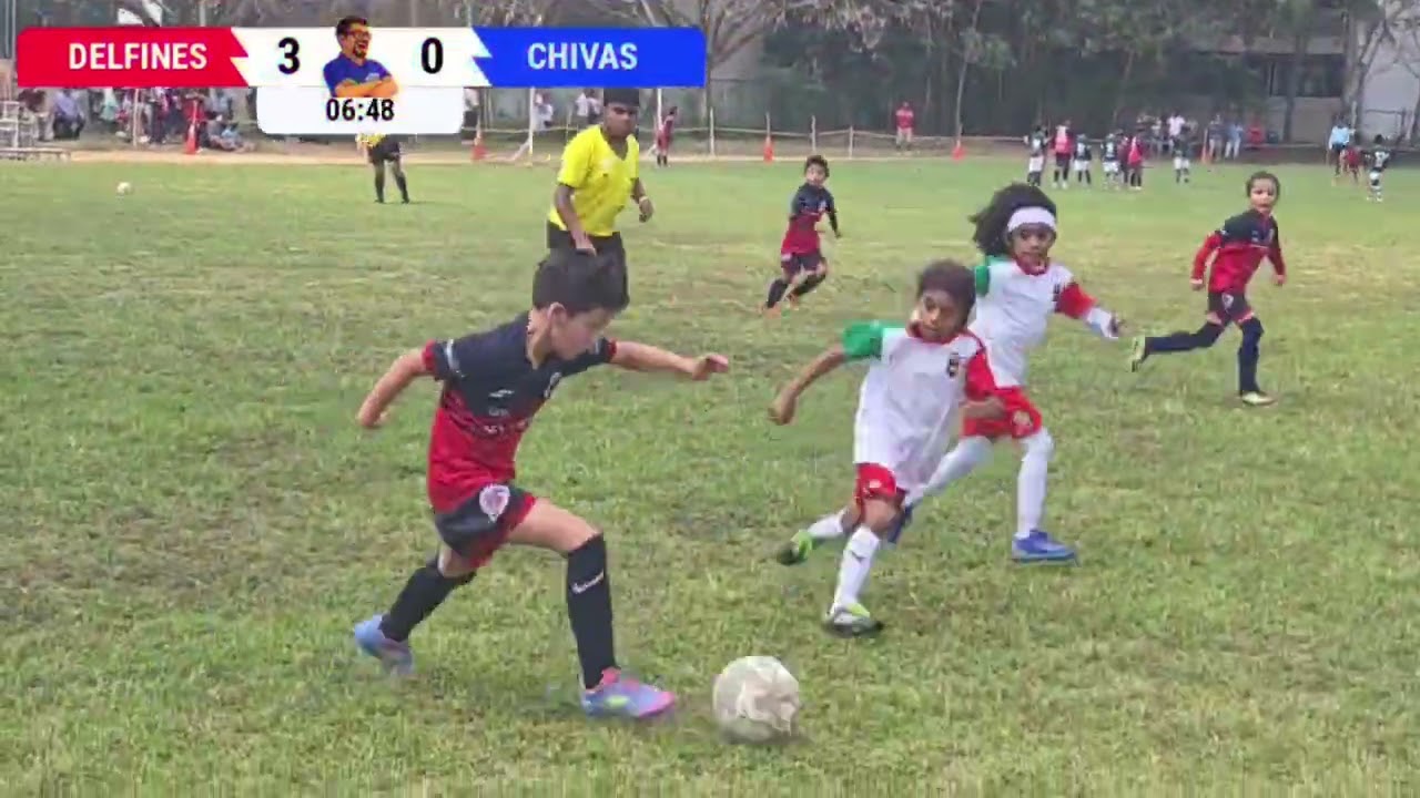 Final Liga Menor | Cat. 2018-2019 | Delfines Vs Chivas | FEB 2026 |