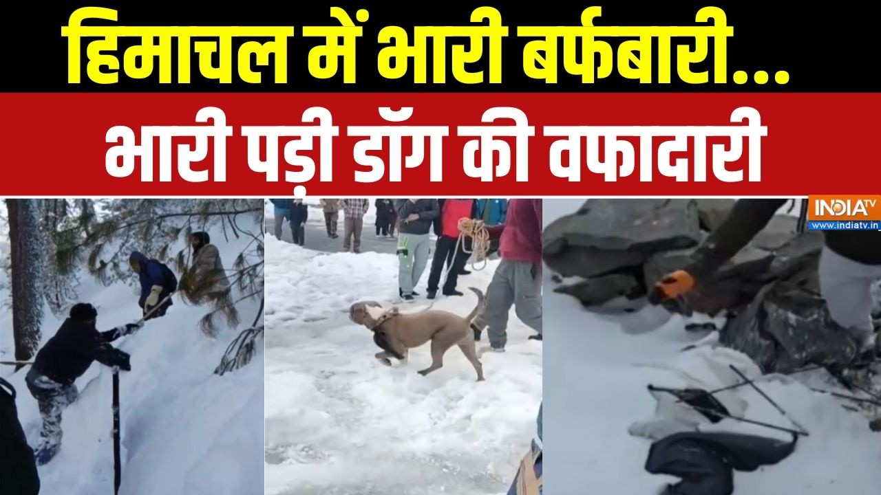 Heavy Snowfall In Himachal Pradesh: बर्फबारी में फंस कर चंबा के दो युवकों की मौत | Chamba | India TV
