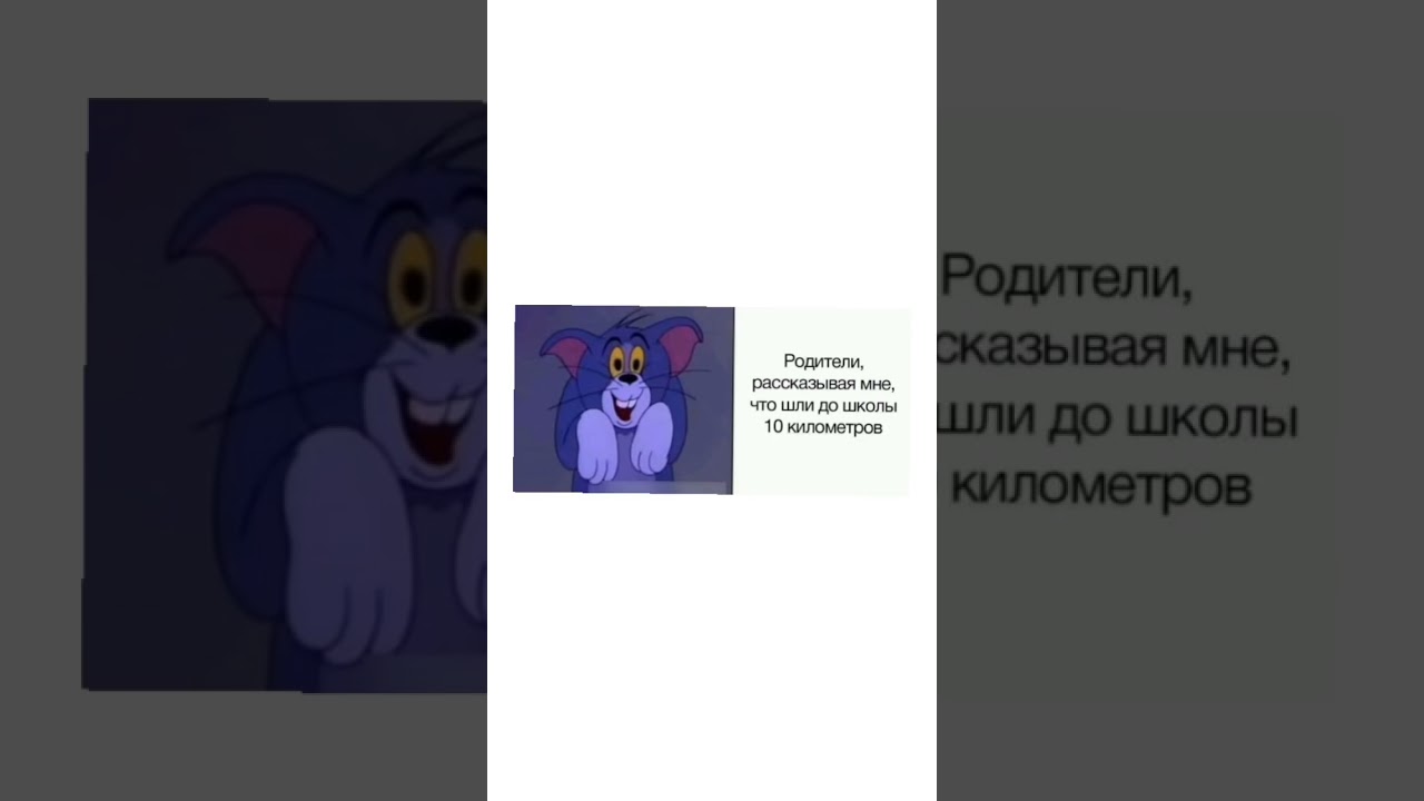 а у котито мяу мяу 