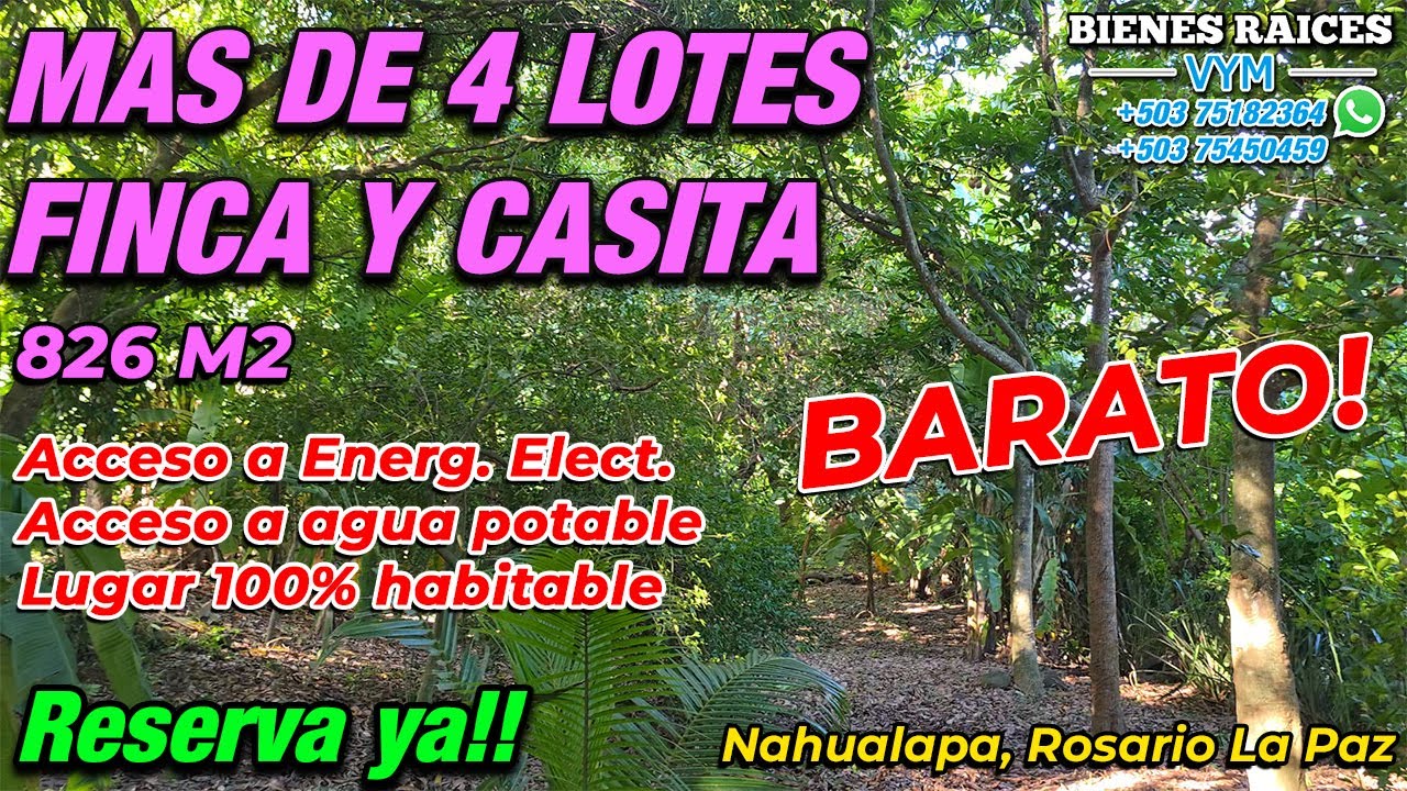 #112 ⛔️ VENDIDO 🌴Terreno con finquita en venta | Cerca de la Costa del Sol y Aeropuerto | Frutales 🌴