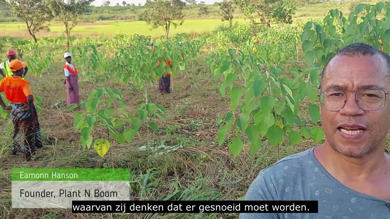 Waar gaat Plant N Boom, eigenlijk over?