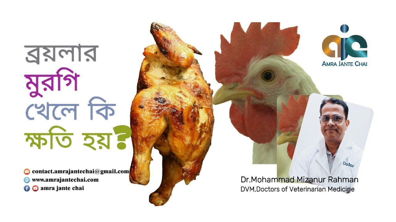ব্রয়লার মুরগী খেলে কি ক্ষতি হয় ? । ।  ডাঃ মোহাম্মদ মিজানুর রহমান । ।  Amra Jante Chai । ।