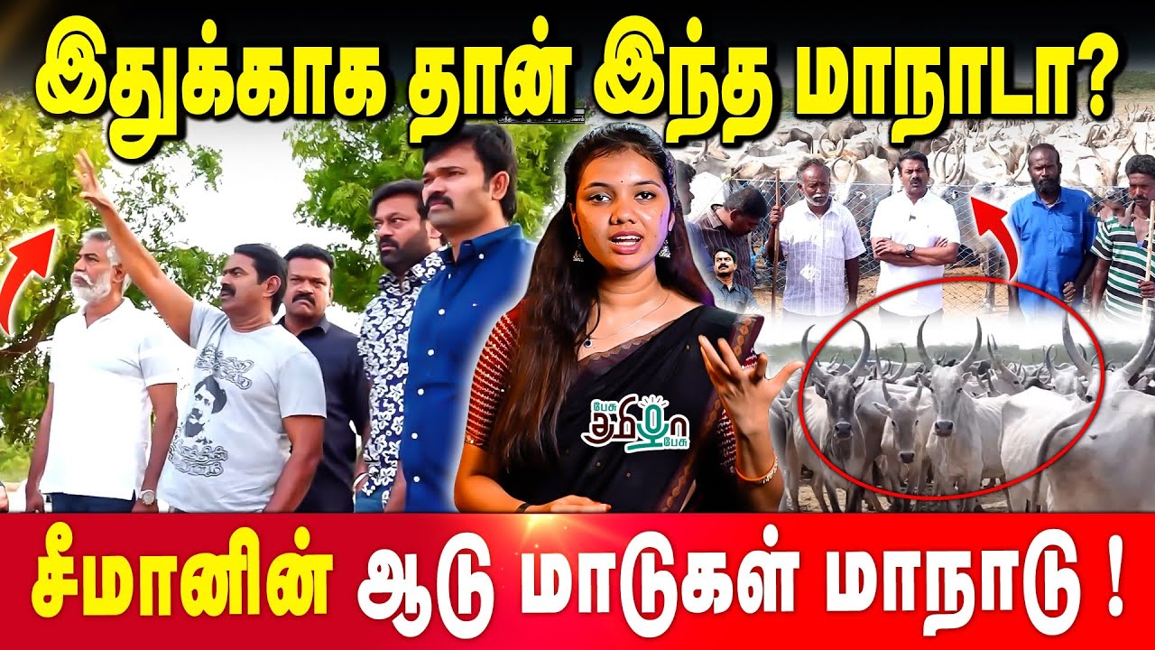 ஆடு மாடுகளுடன் பேசிய சீமான் | பட்டியில் அடைக்கப்பட்ட தம்பிகள் | Seeman | Cow Conference | Cattle