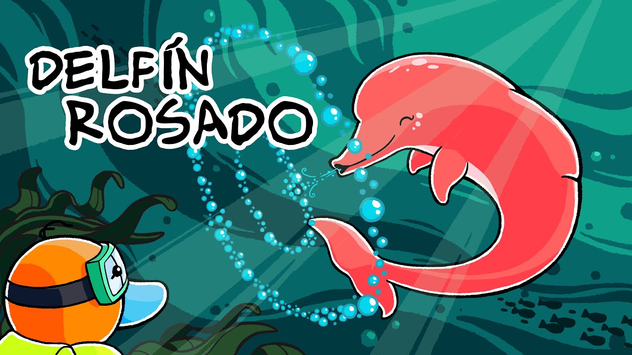 Hola Flinko - Delfín Rosado / Capítulo 26 Completo Temporada 1