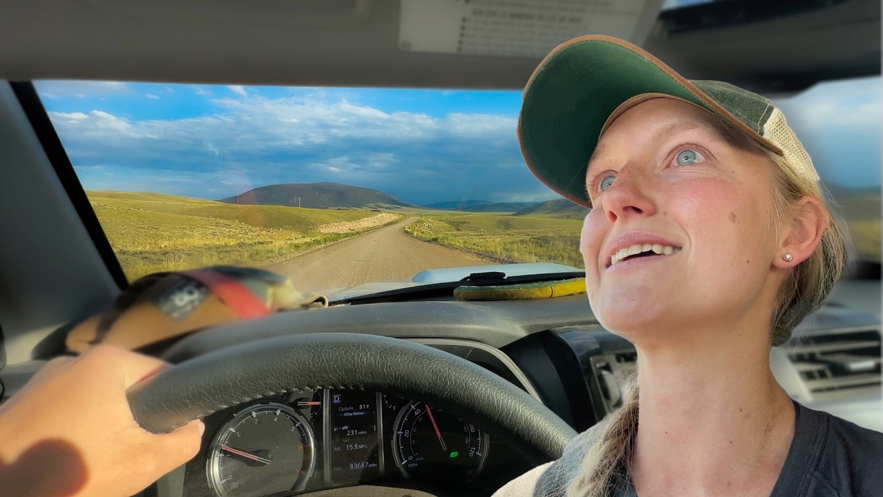 35 Miles Down A Dirt Road Led To The Most Remote Spot I've Been In Colorado | Living in a 4Runner
