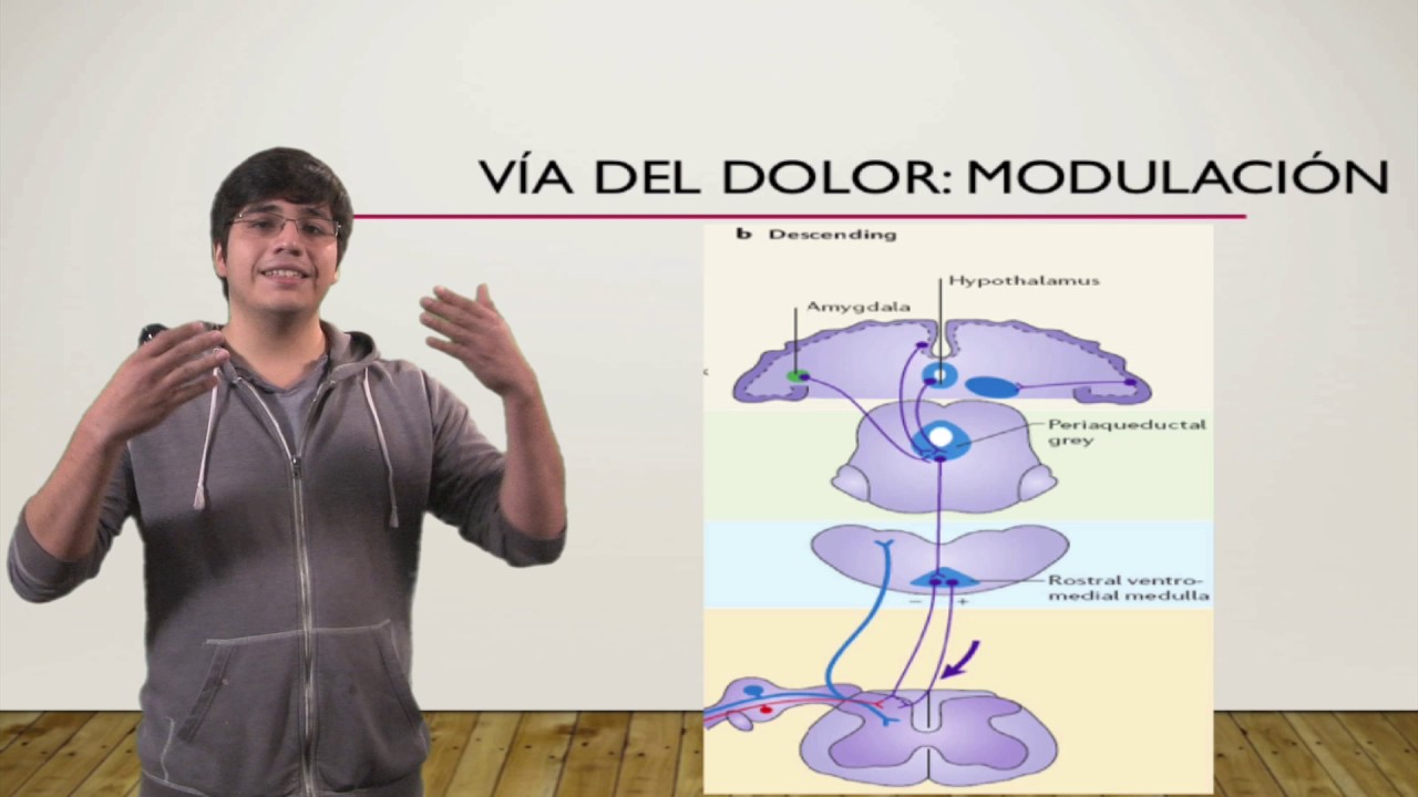 Manejo farmacológico del dolor