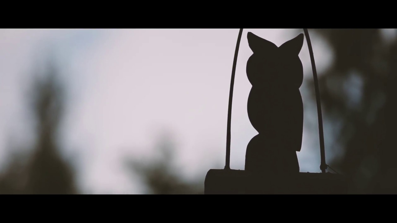 Official Equin'Ozio Summer Camp video - short version